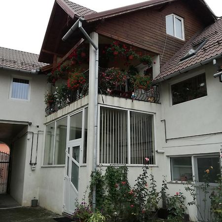 Vila Nely Risnov Bagian luar foto