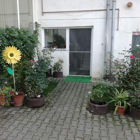 Vila Nely Risnov Bagian luar foto