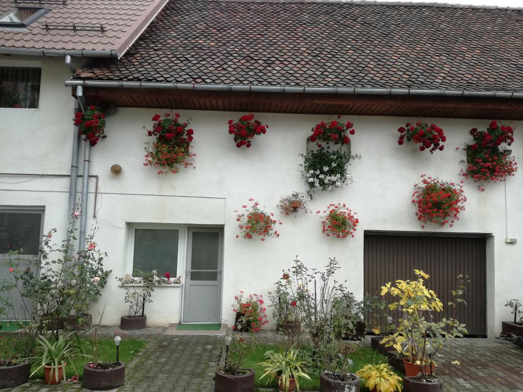 Vila Nely Risnov Bagian luar foto