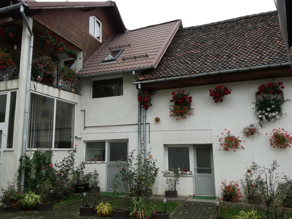 Vila Nely Risnov Bagian luar foto