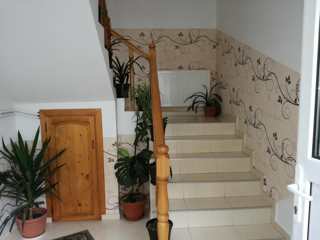 Vila Nely Risnov Bagian luar foto
