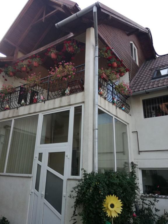 Vila Nely Risnov Bagian luar foto