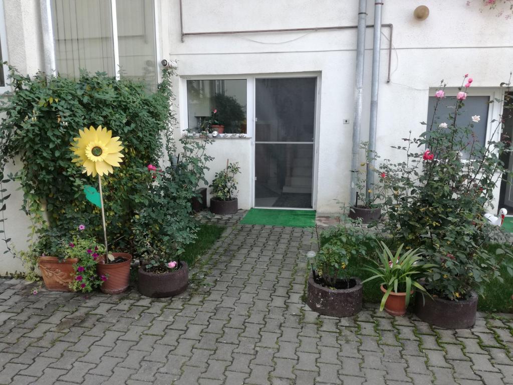 Vila Nely Risnov Bagian luar foto